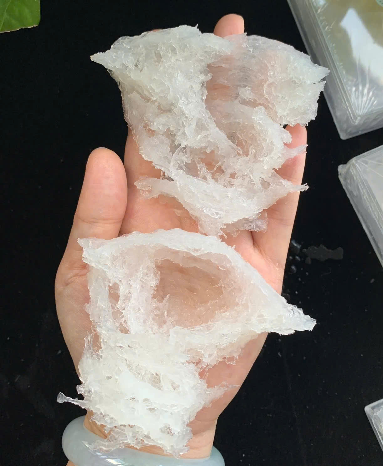 Chân rìa rút lông khô